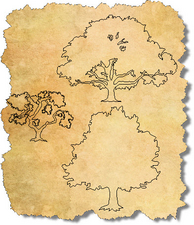 CAD Trees in Elevation